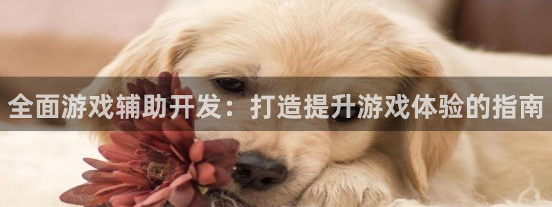 沐鸣2登录地址