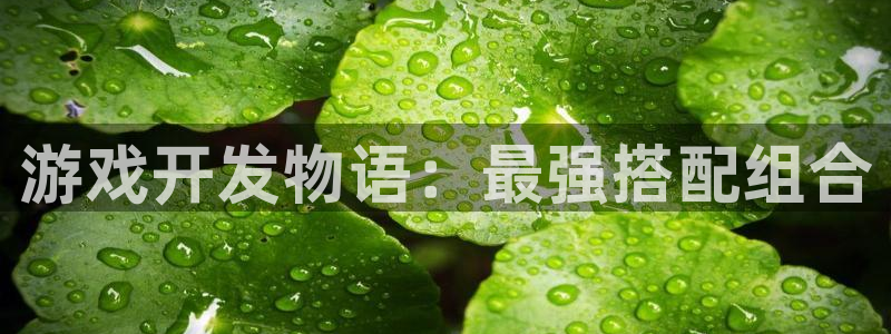 沐鸣2手机网页版