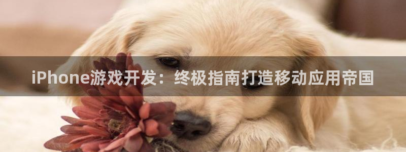 沐鸣2娱乐平台登录客服