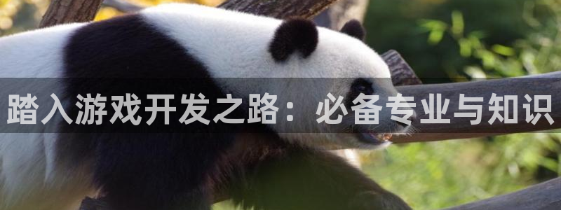 沐鸣2平台是杏彩的吗