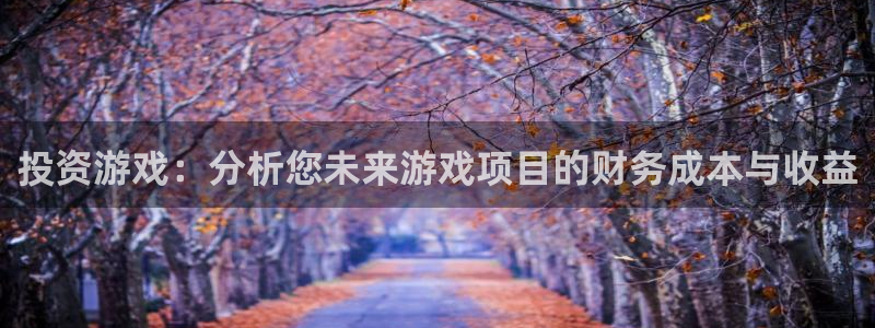 沐鸣2选 37OO735：投资游戏：分析您未来游戏项目的财务成本与收益