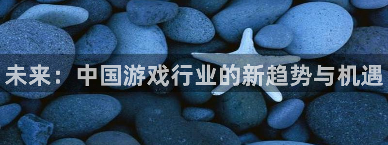 沐鸣2代理酋27337：未来：中国游戏行业的新趋势与机遇