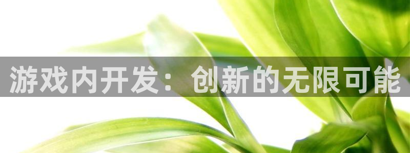 沐鸣2撤35994还和：游戏内开发：创新的无限可能