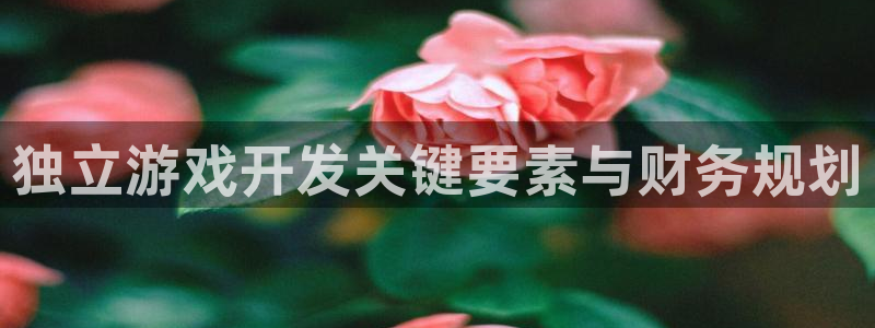 沐鸣2代理官网：独立游戏开发关键要素与财务规划
