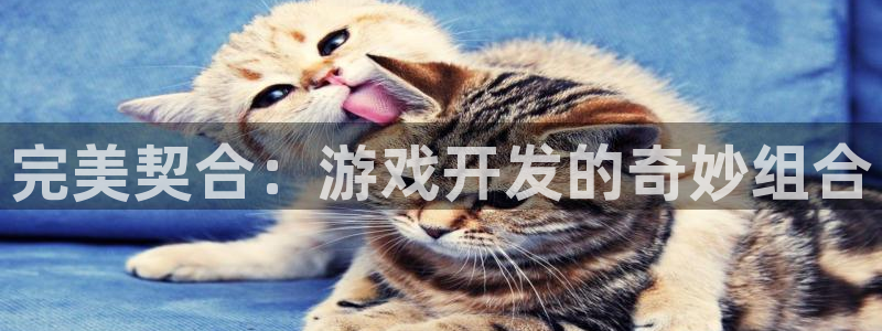 沐鸣娱乐2登录平台官网网址：完美契合：游戏开发的奇妙组合