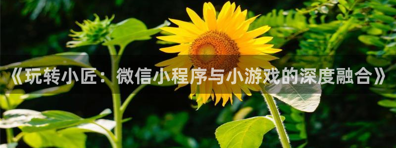 沐鸣2官方：《玩转小匠：微信小程序与小游戏的深度融合》