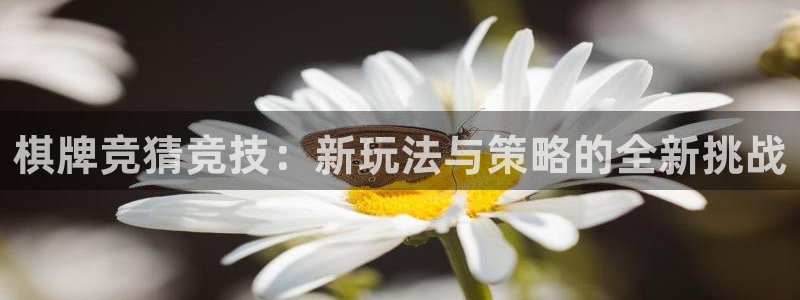 沐鸣2登录网址：棋牌竞猜竞技：新玩法与策略的全新挑战