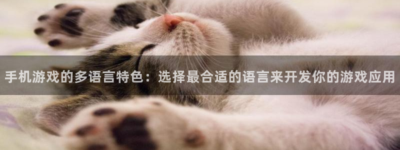 沐鸣娱乐2注册平台：手机游戏的多语言特色：选择最合适的语言来开发你的游戏应用