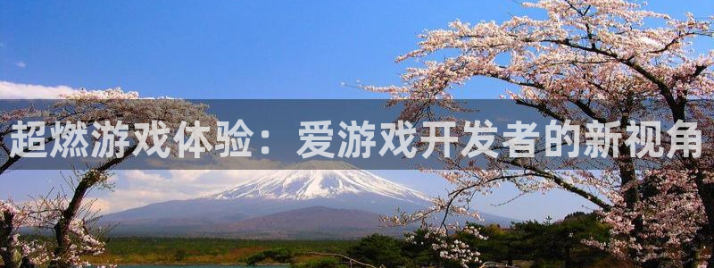 沐鸣2官网注册地址：超燃游戏体验：爱游戏开发者的新视角