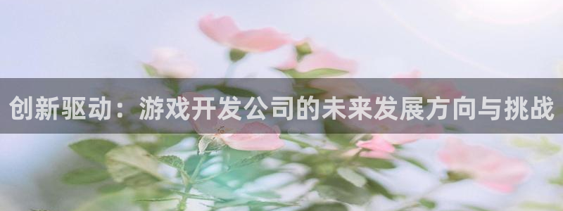 沐鸣娱乐平台2注册：创新驱动：游戏开发公司的未来发展方向与挑战