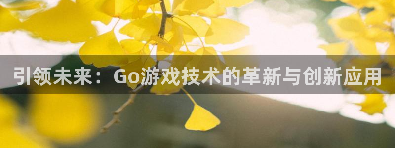 沐鸣娱乐2登录平台官网入口：引领未来：Go游戏技术的革新与创新应用