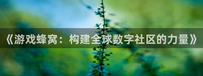 沐鸣娱乐2注册平台：《游戏蜂窝：构建全球数字社区的力量》
