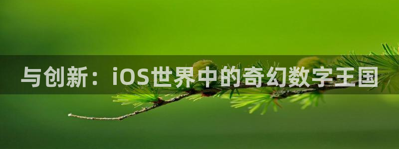 沐鸣娱乐2登录平台官网下载：与创新：iOS世界中的奇幻数字王国