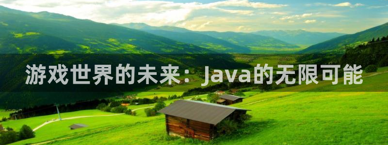 沐鸣娱乐2在线注册：游戏世界的未来：Java的无限可能