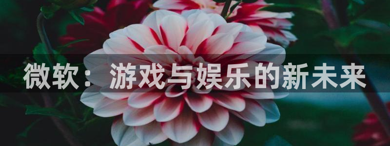 沐鸣2登陆：微软：游戏与娱乐的新未来