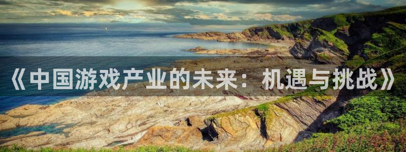 沐鸣娱乐2登录平台官网入口：《中国游戏产业的未来：机遇与挑战》
